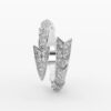 Rings2 (1)