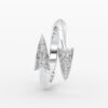 Rings2