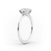 Rings2