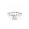 white gold1