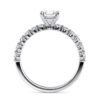 white gold2